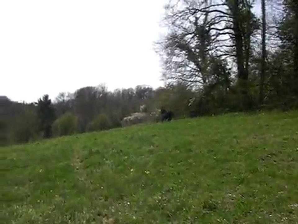 3avril11 paso uvalou lachage dans 3ha, 5/5