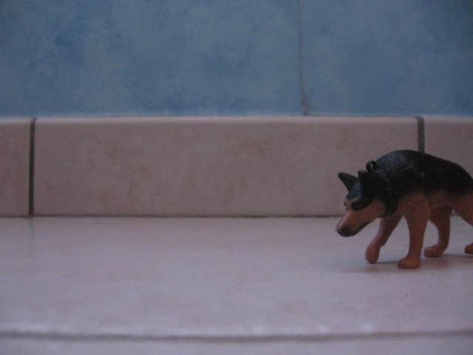 Le chien érant