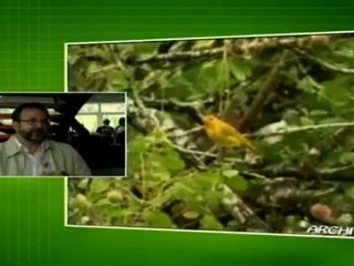 Investigadores venezolanos impulsan la Ecofisiología animal