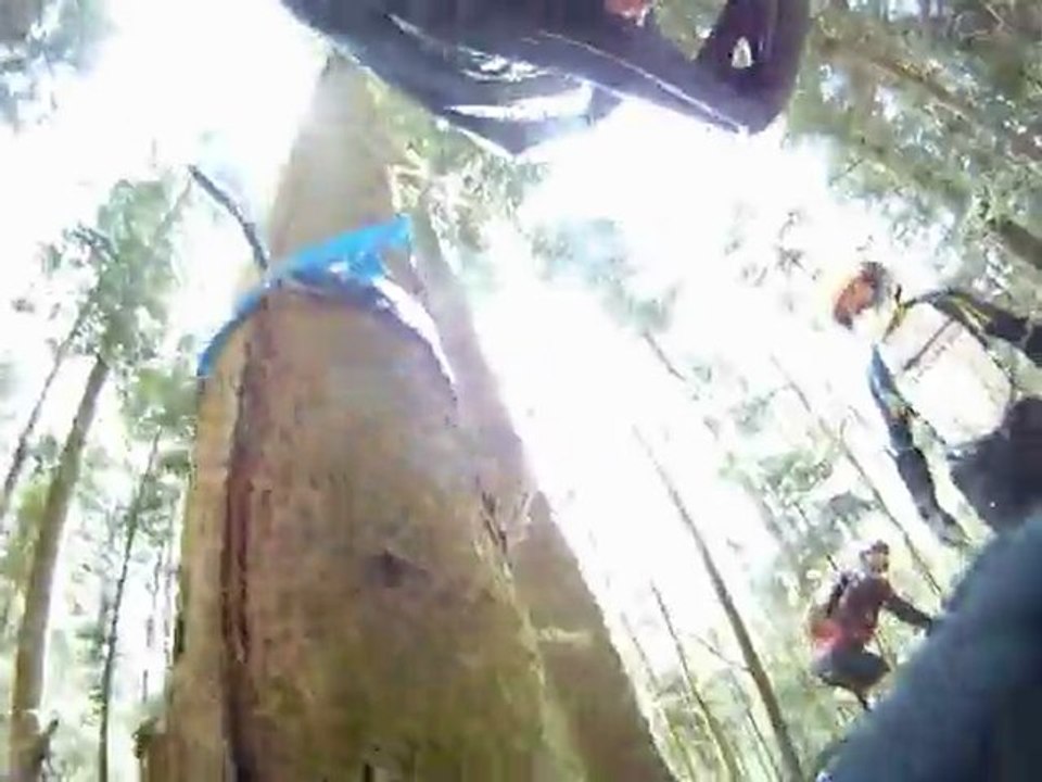 Elsass Enduro 2011-SP5 Arbre contre VTT