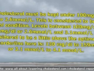How to Lower High Cholesterol Levels