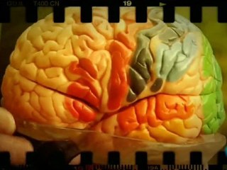 Cerebro y consciencia: Cuerpo y mente