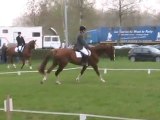 cce am2 dressage wallers avril 2011