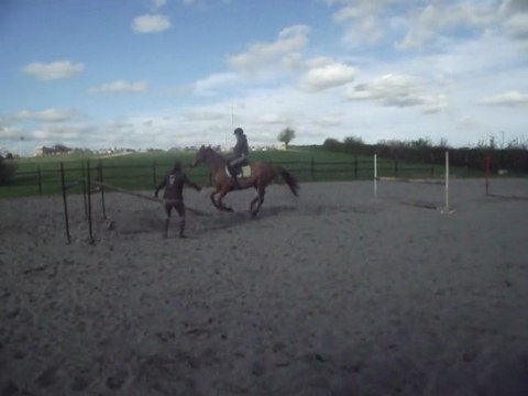 Saut en licol - 1m20