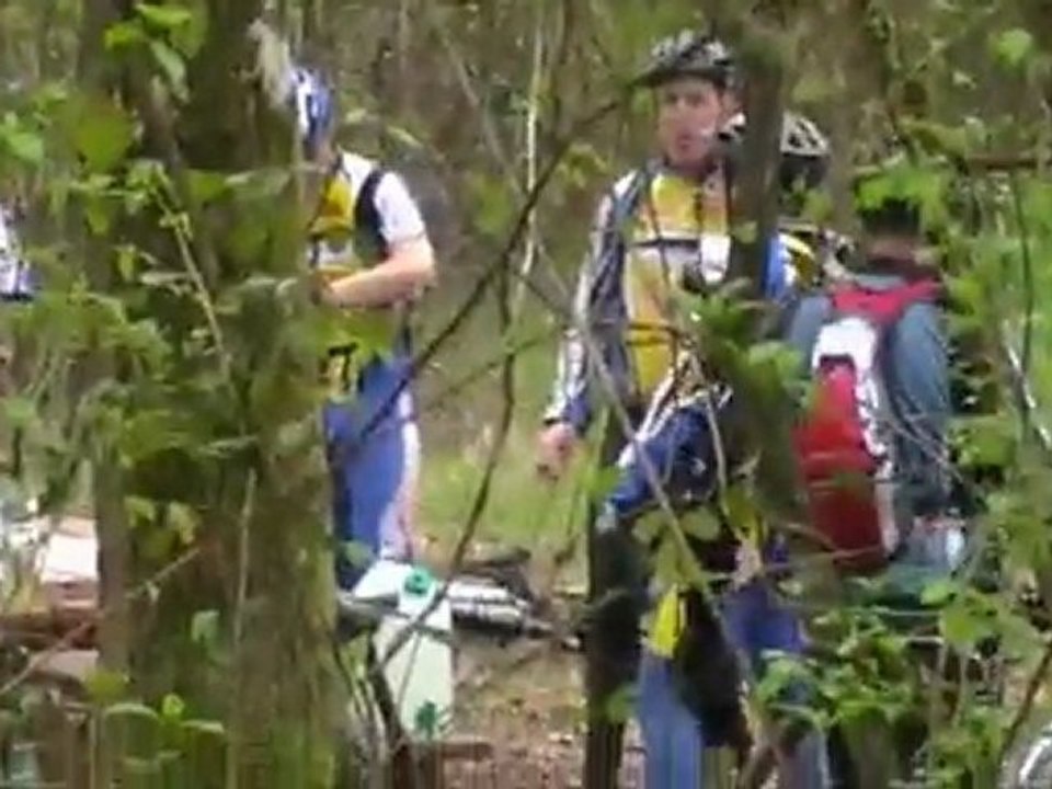 rando scorpions 2011