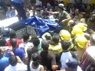 Asi capturaron al puma de Estelí que falleció supuestamente por un infarto luego de ser sedado con 2 dardos