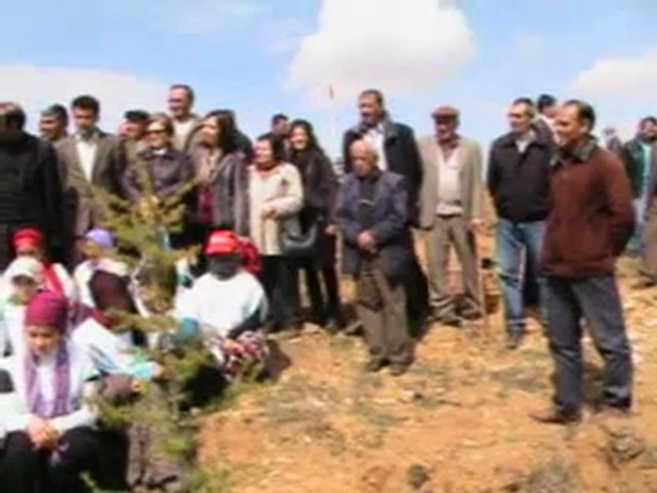 Kayapınarda Çam Dikimi