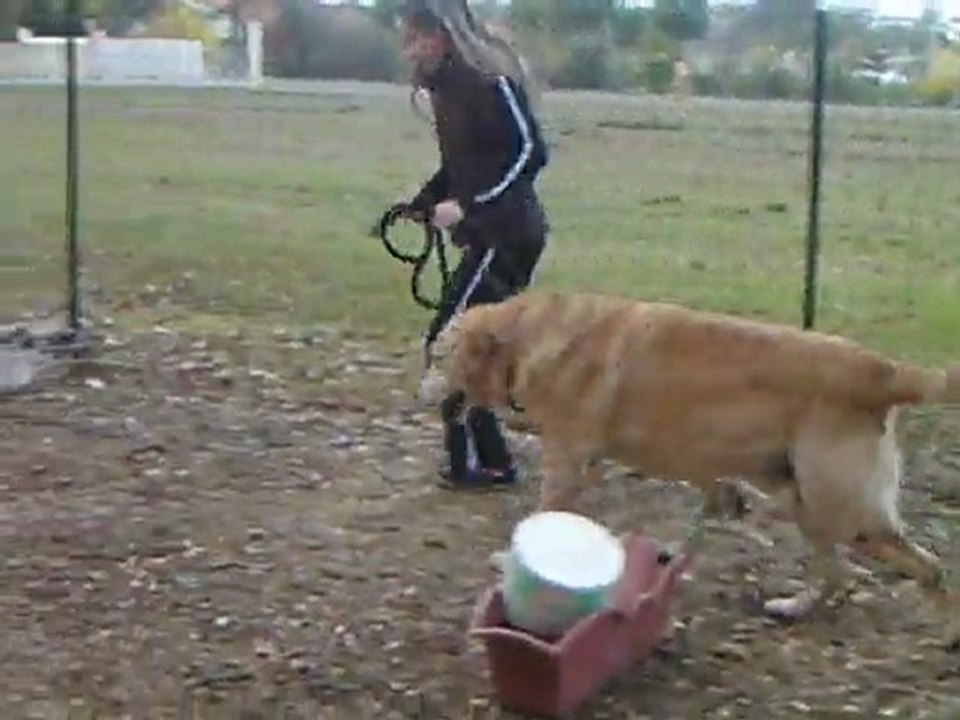 moi et vinou en action
