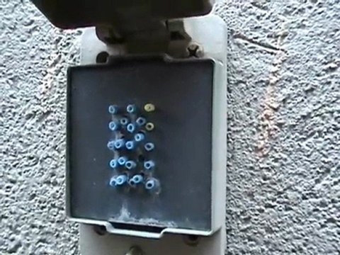 Houston Home Inspector: Pest Defense System