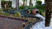 954 224 5119/ Plantation FL Yard Work/ Landscaping Borders