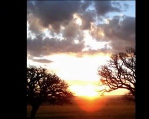 les murs de poussiére