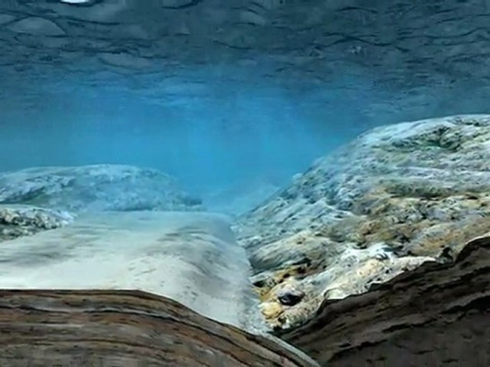 What Causes a Tsunami- How Tsunamis are Formed