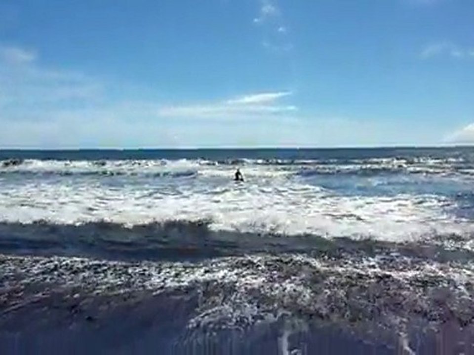 cours surf04avril02.avi