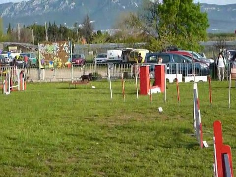 Asian - Open Le Pradet 03.04.11