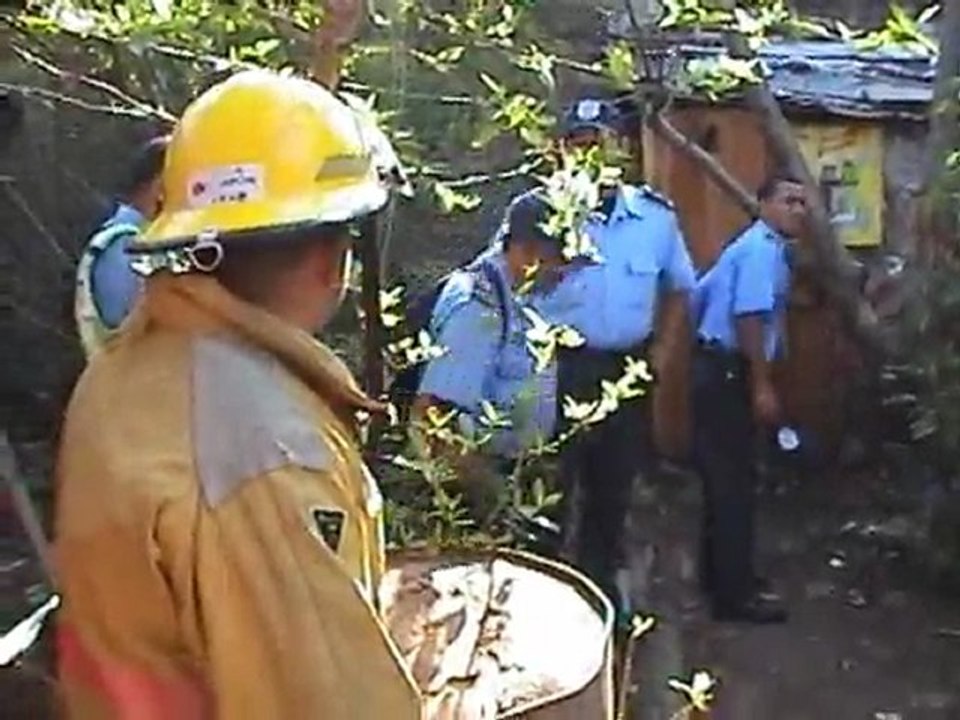 RESUMEN :PUMA ENCONTRADO EN ESTELI