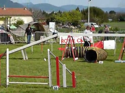 Bambou - 2e degre Le Pradet 03.04.11