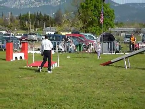 Coco & Sunny - 1er degre Le Pradet 03.04.11