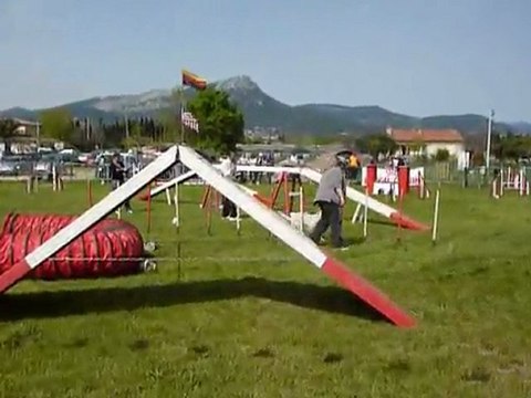 Daisy - GPF Le Pradet 03.04.11