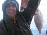 fırtına olta balıkçısı fedi kaptan dip burun darbogaz olta balık avı rez.05372905856