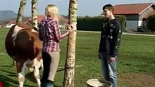 Girl_Teaches_Her_Cow_to_Jump