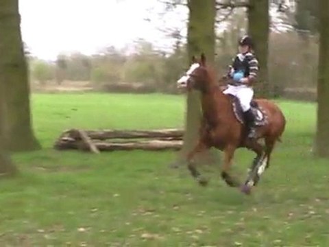 CCE AM 2 CROSS 3 WALLERS AVRIL 2011