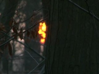 Le thème du mois : Des chiffres et des lettres