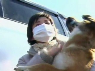 Stranded tsunami dog reunited with owner in Japan