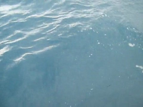 kadırga 09 dipburun darbogaz olta balıkcılıgı ferdi kaptan rez. 05372905856