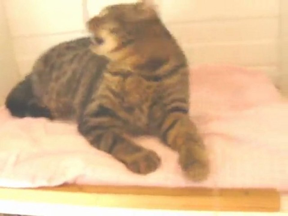 AIKAN