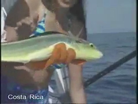 Travel Community Sites, Best Travel Blogs, Travel Social Network