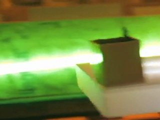 Yell's Ministry of Found Pop-Up Record Store launch night