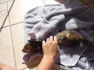 Sethi et les câlins