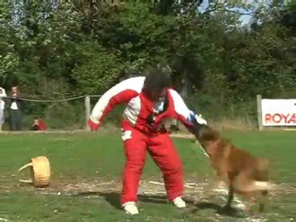 Jubilé de Patrice Foucault, notre dame de l'ile, ring francais