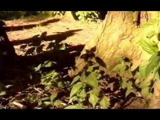 Holló együttes Dal a hajnalhoz Korg Band Hungary clip