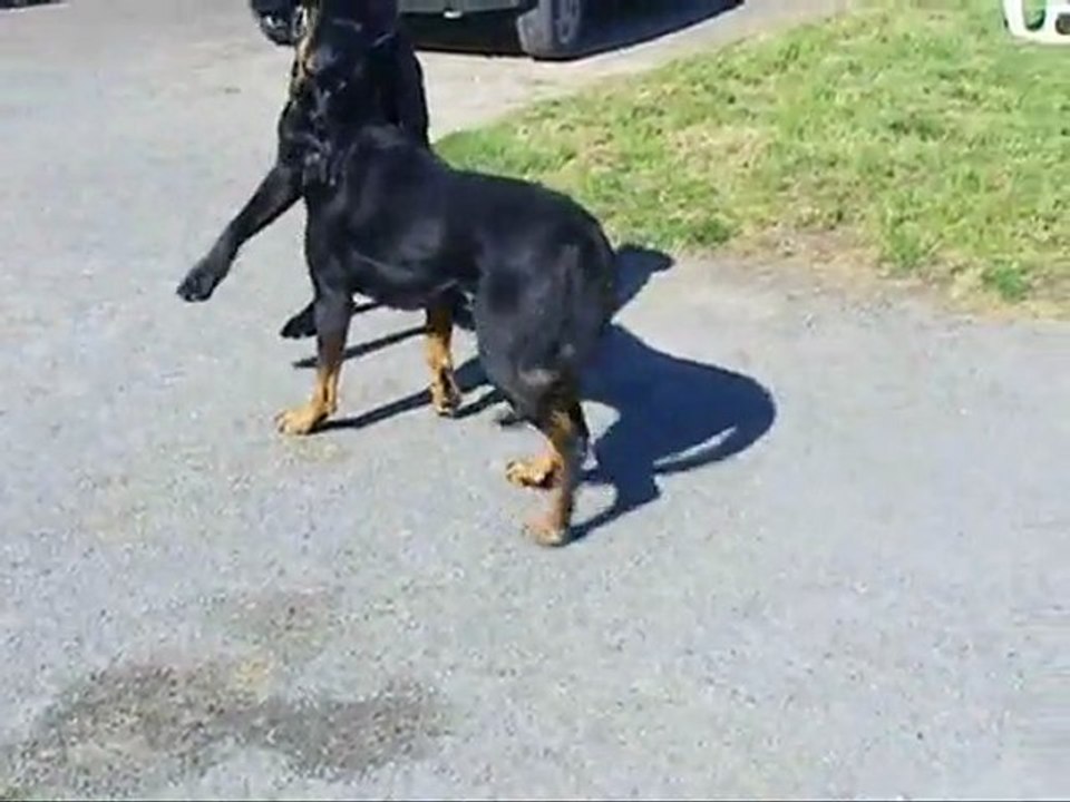 Véga vs Eole le 01 04 2011