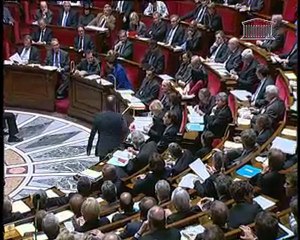 Questions au gouvernement du 05 avril 2011(R.SALLES)