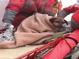 Japon: un chien sauvé en mer 21 jours après le tsunami