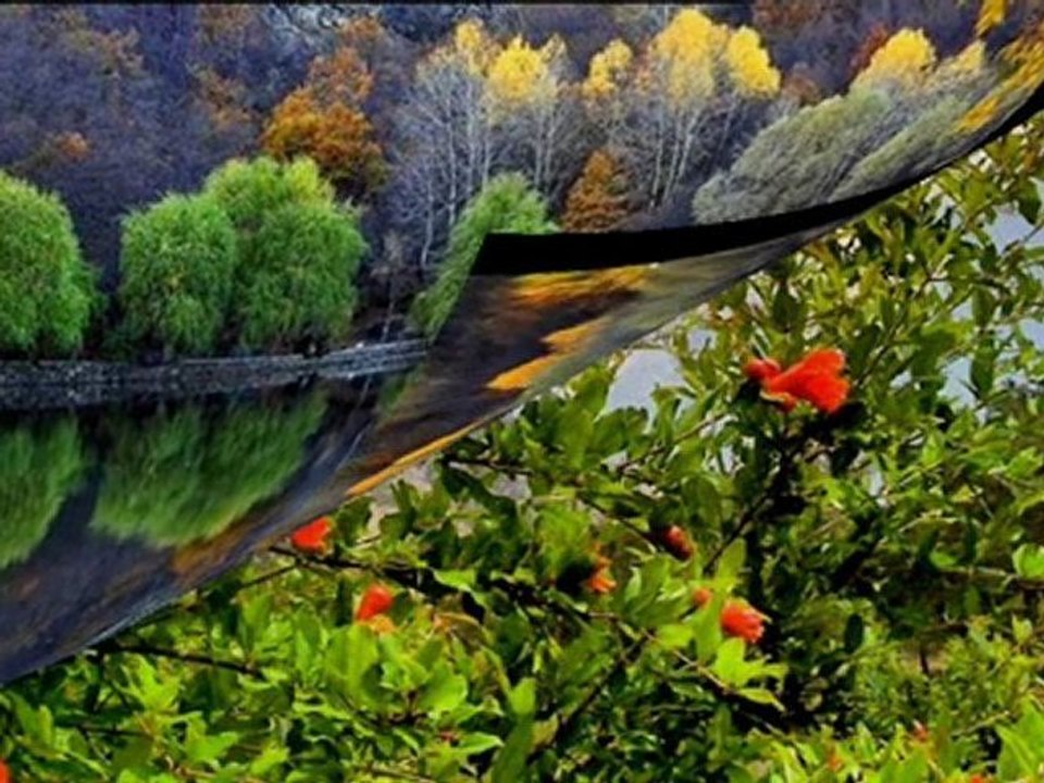 Zeki Müren - Ölürsem Yaziktir Sana Kanmadan