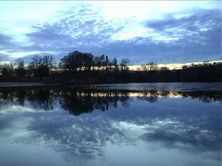 DCDT cantos y estrellas