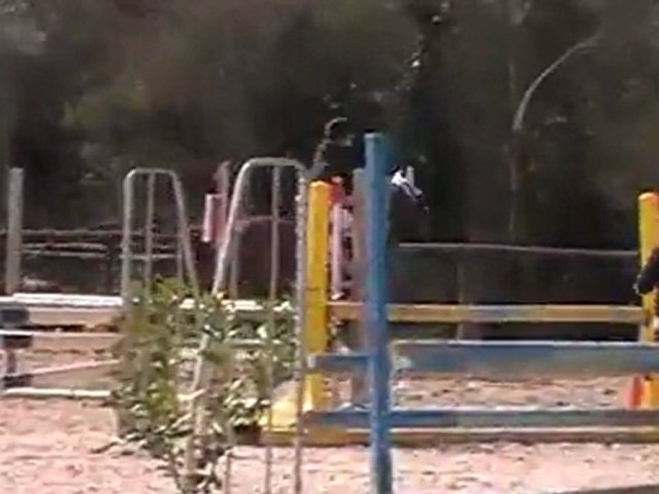 MOV008