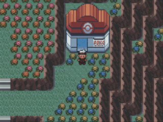 Pokemon Rubis ,59) La route Victoire