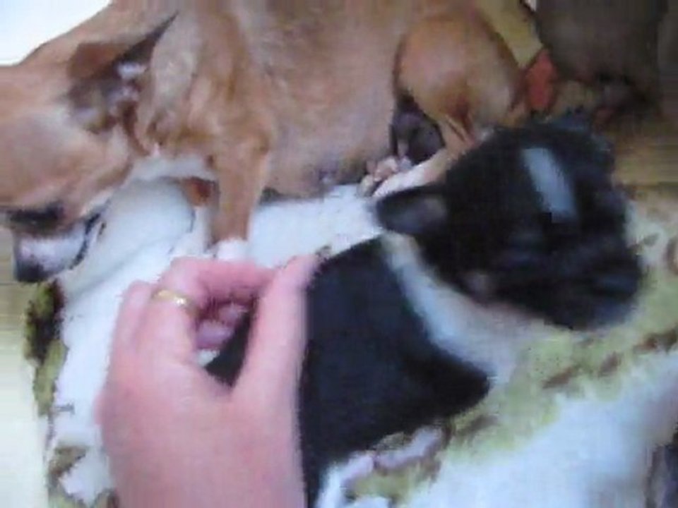 mes bébés  29 jours