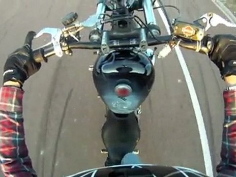 Stunt Harley Davidson Nolan Thirion 1200 Sportster