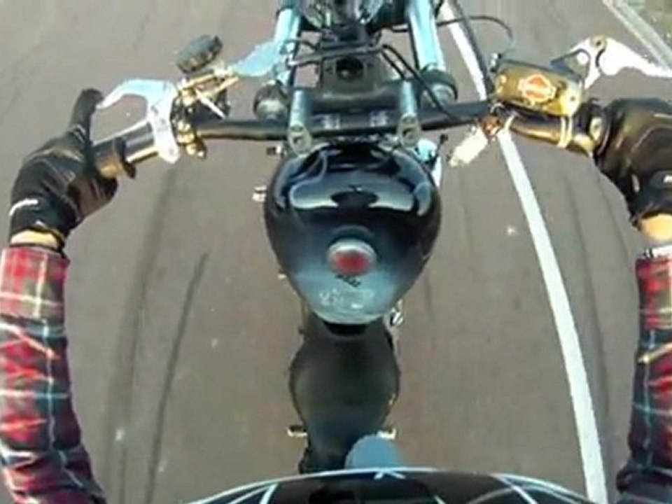 Stunt Harley Davidson Nolan Thirion 1200 Sportster