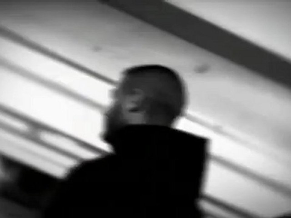 ILLICITE ES GIBT DIE