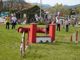 Taz - Jumping Le Pradet 03.04.11