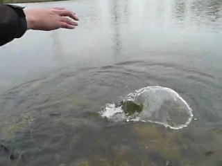 Brochet 75cm sur 4play soft