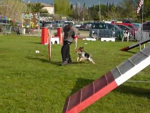 Brownie - Open+ Le Pradet 03.04.11