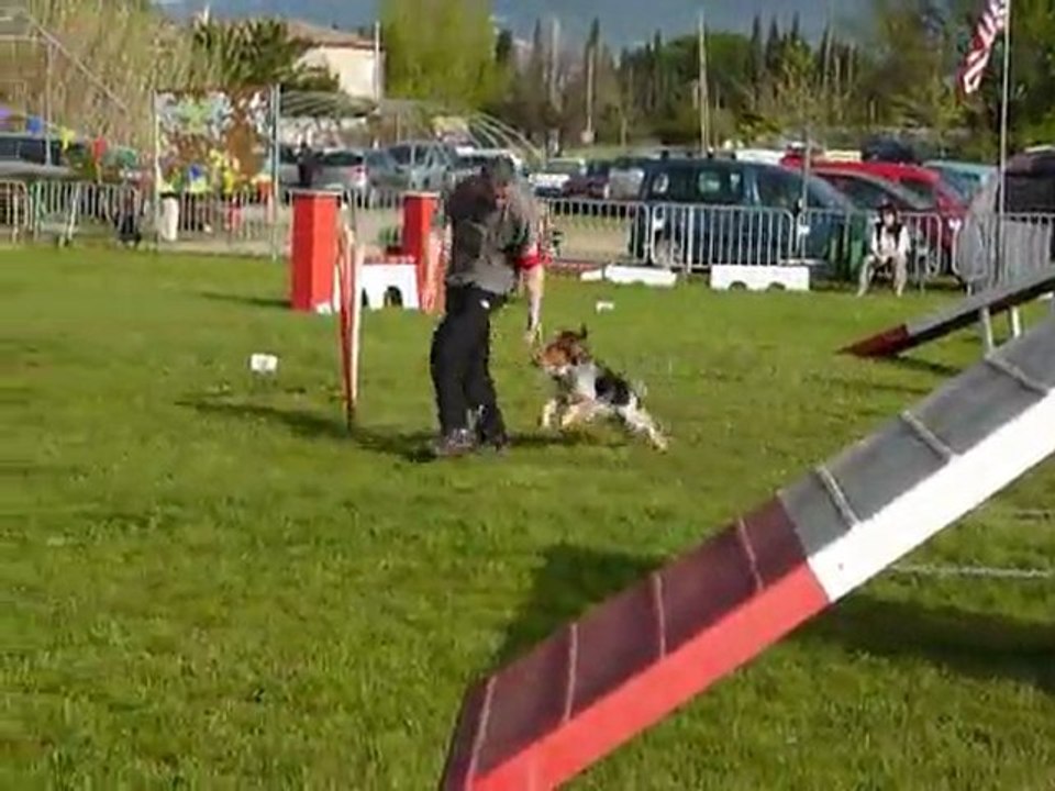 Brownie - Open+ Le Pradet 03.04.11