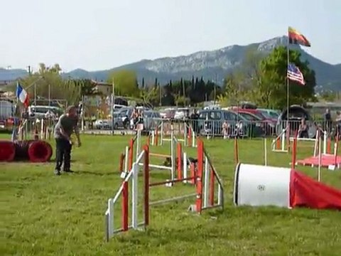 Brownie - Jumping+ Le Pradet 03.04.11